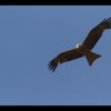 20150711_0081
